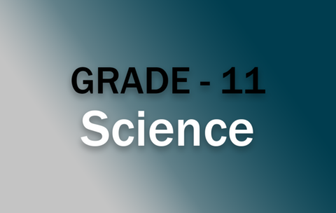 G11_Science