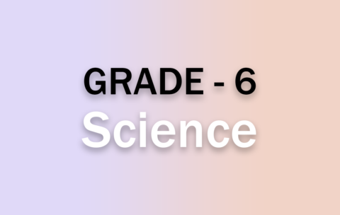 g6_science